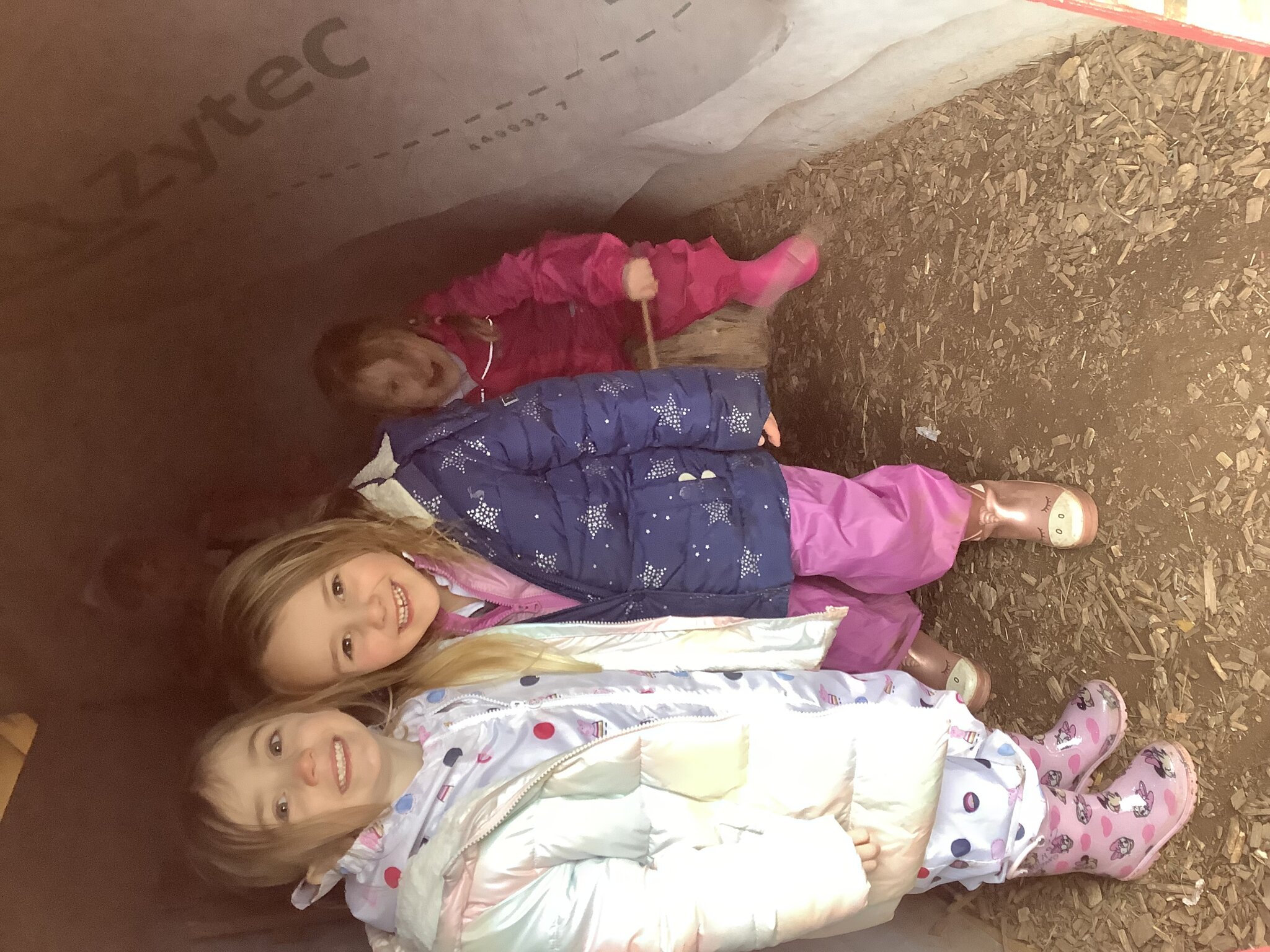 Image of Sunflowers UOW - Forest School